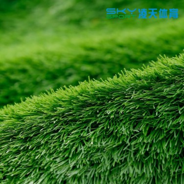 广州ITB8888通博体育：仿真塑胶草